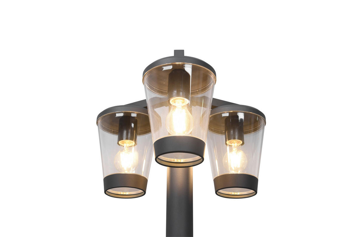 AUSSENSTEHLEUCHTE - Klar/Anthrazit, Design, Kunststoff/Metall (44,6/220cm) - Trio Leuchten