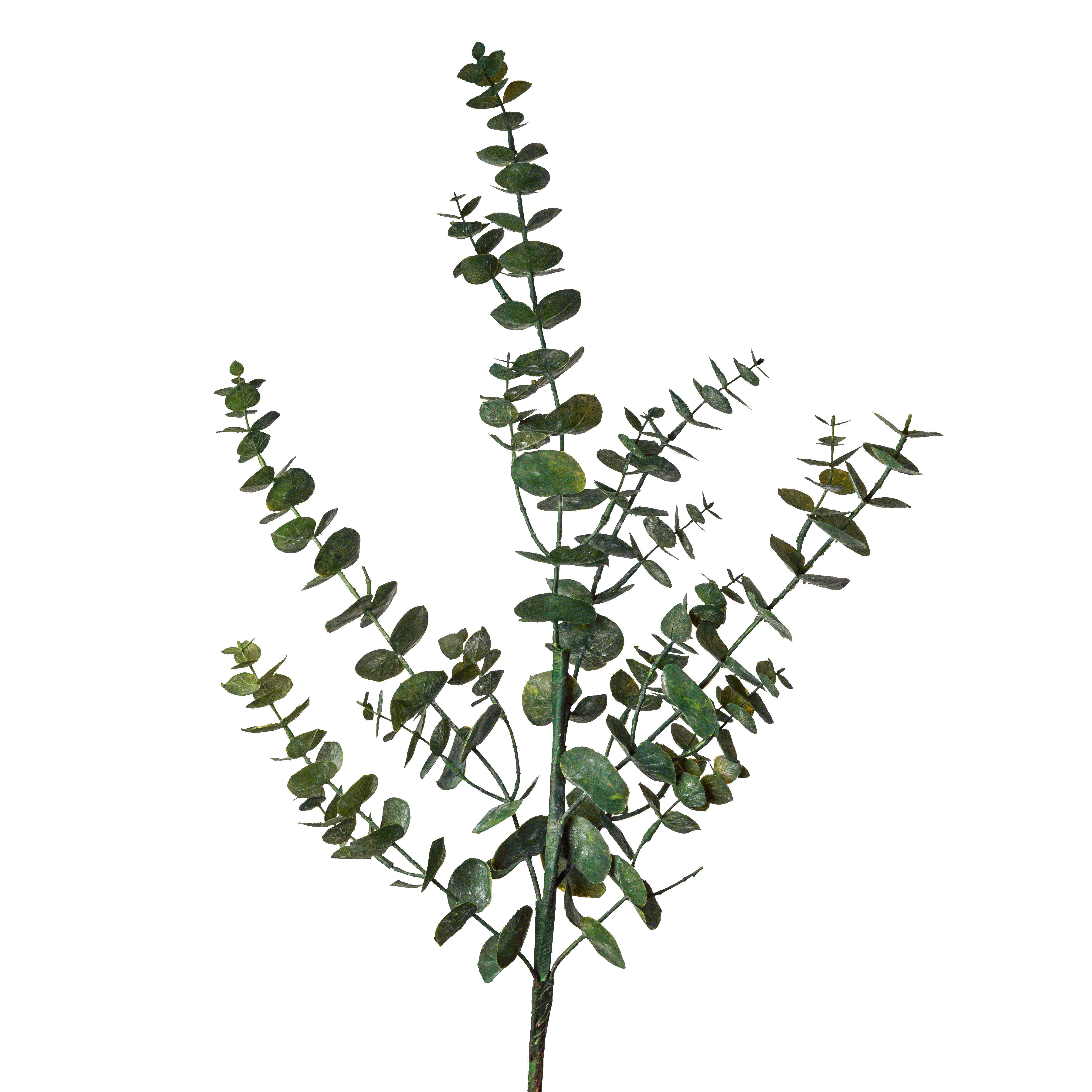 DEKORAČNÍ VĚTVIČKA eukalyptus/blahovičník 90 cm - zelená