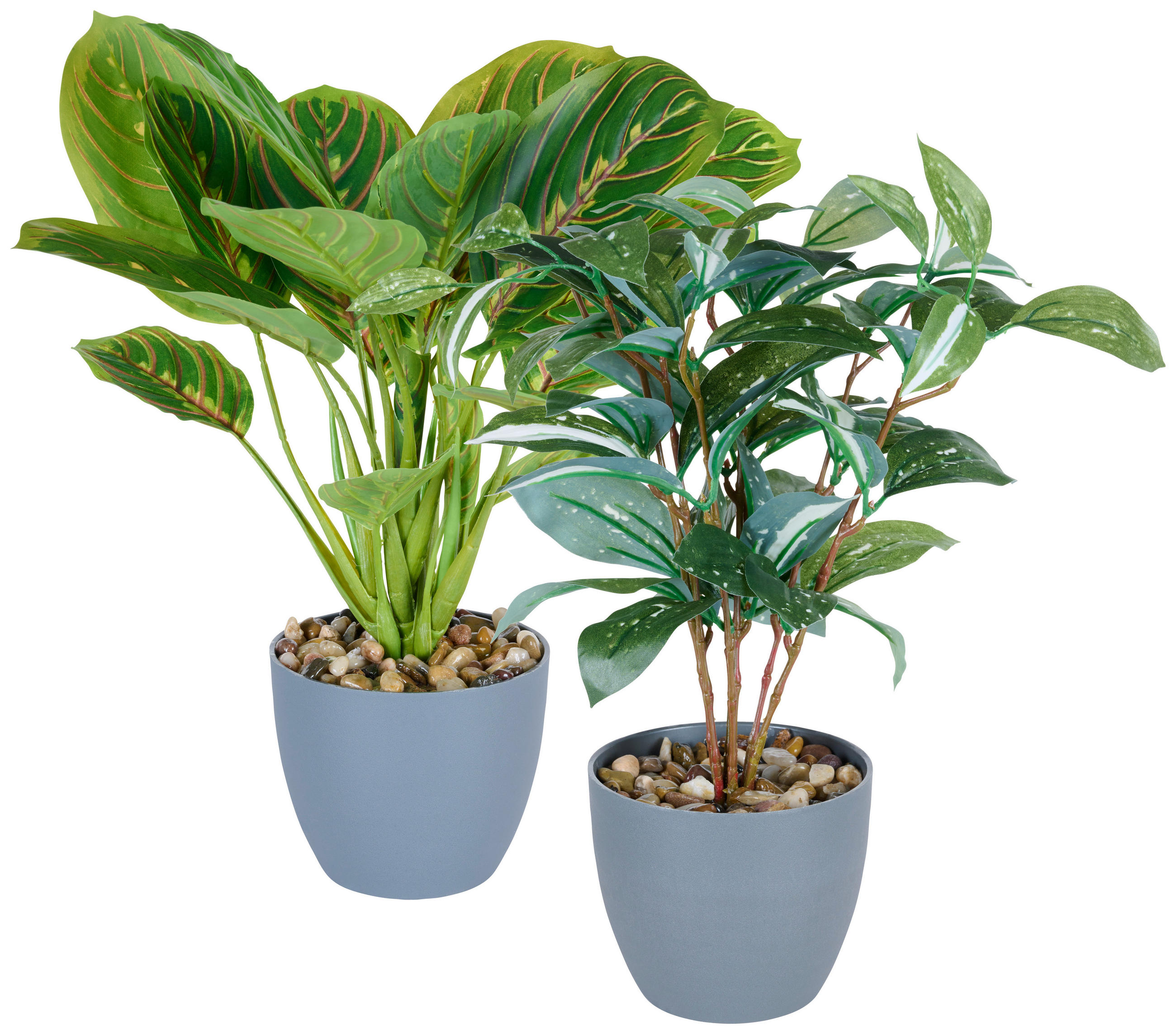 UMELÁ RASTLINA bonsaj - zelená/tmavosivá, Basics, plast/kameň (40cm) - Ambia Home