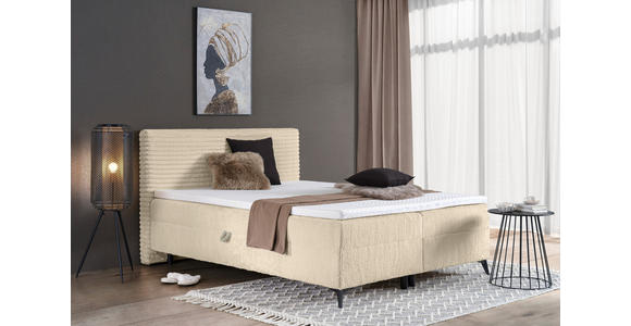BOXBETT 160/200 cm in Creme - Creme/Schwarz, Design, Holz/Holzwerkstoff (160/200cm) - Xora
