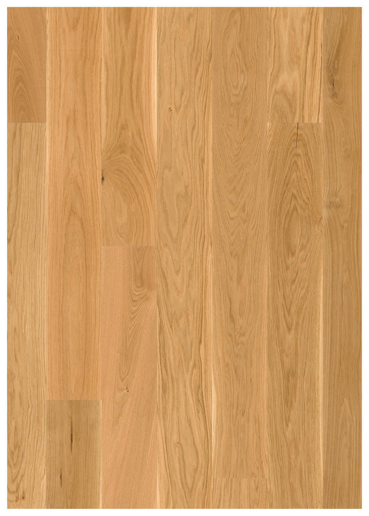 LANDHAUSDIELE, Eiche Elegant  per  m² - Eichefarben, LIFESTYLE, Holz (220.5/17.6/1.3cm) - Waldwelt