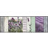 FUßMATTE 60/180 cm Lavendel Hellgrün, Violett - Violett/Hellgrün, Basics, Kunststoff/Textil (60/180cm) - Esposa FUßMATTE 60/180 cm Lavendel Hellgrün, Violett - Violett/Hellgrün, Basics, Kunststoff/Textil (60/180cm) - Esposa