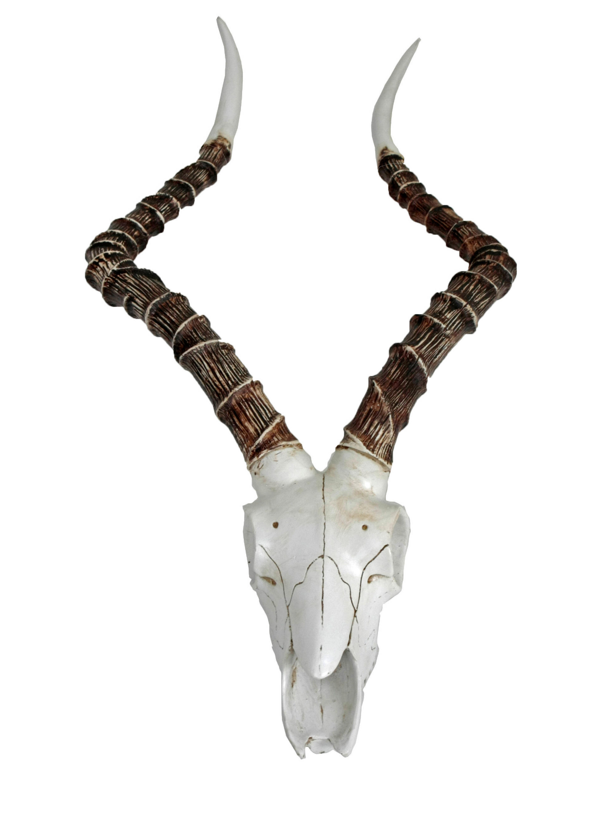 GEWEIH - Braun/Weiß, LIFESTYLE, Kunststoff (33/64/11,5cm)
