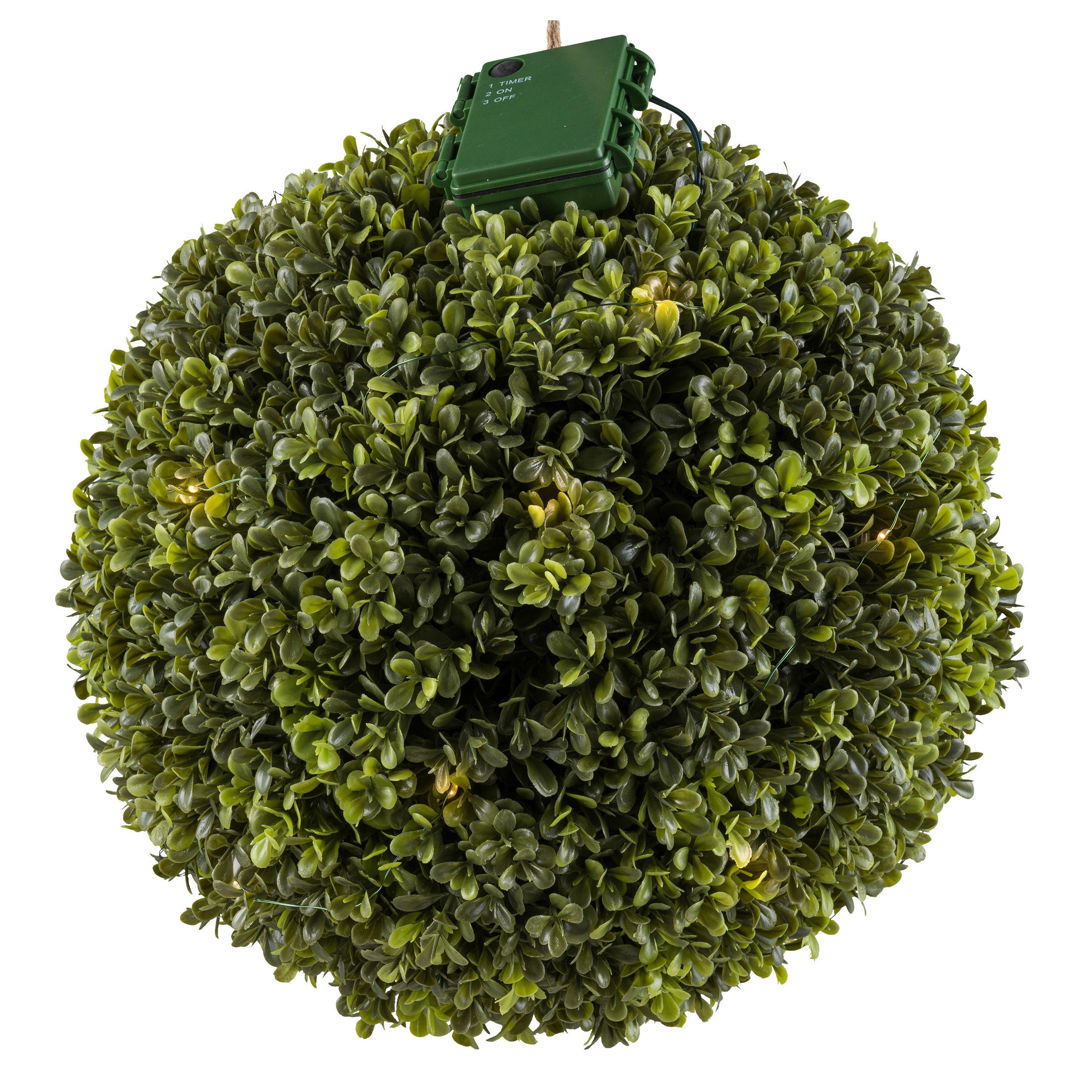 KUNSTPFLANZE Buchsbaum - Grün, Design, Kunststoff (30cm) - P & B