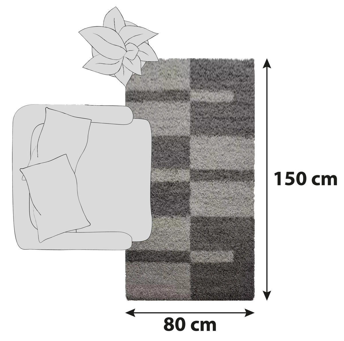 HOCHFLORTEPPICH 80/150 cm Gala 2505 Taupe  - Taupe, Design, Textil (80/150cm) - Novel