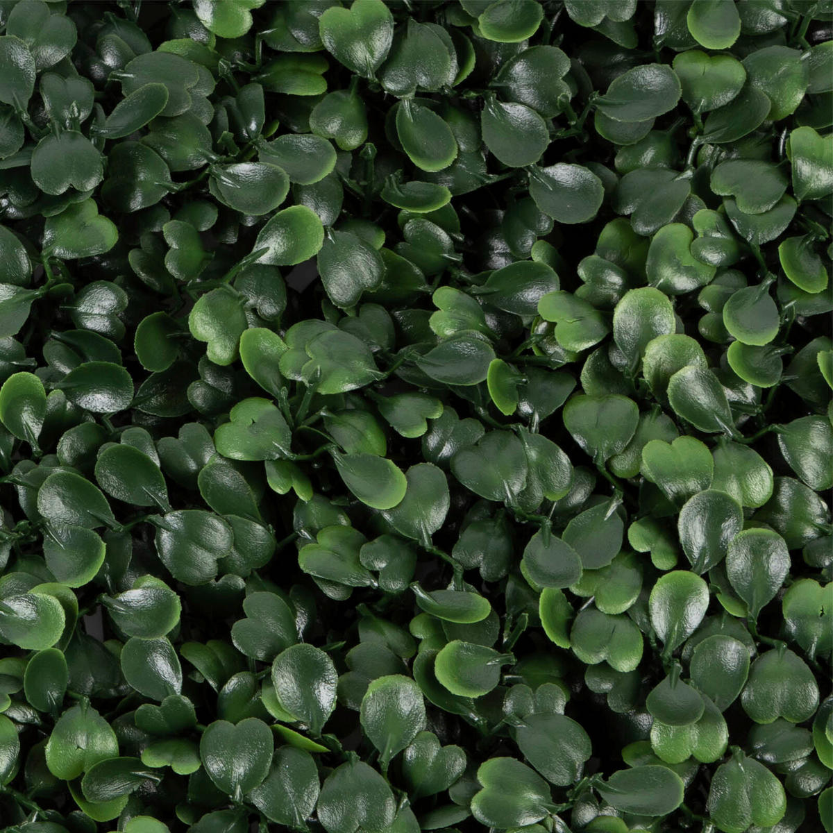 WANDVERKLEIDUNG - Jadegrün, Trend, Kunststoff (50/50cm) - Floordirekt