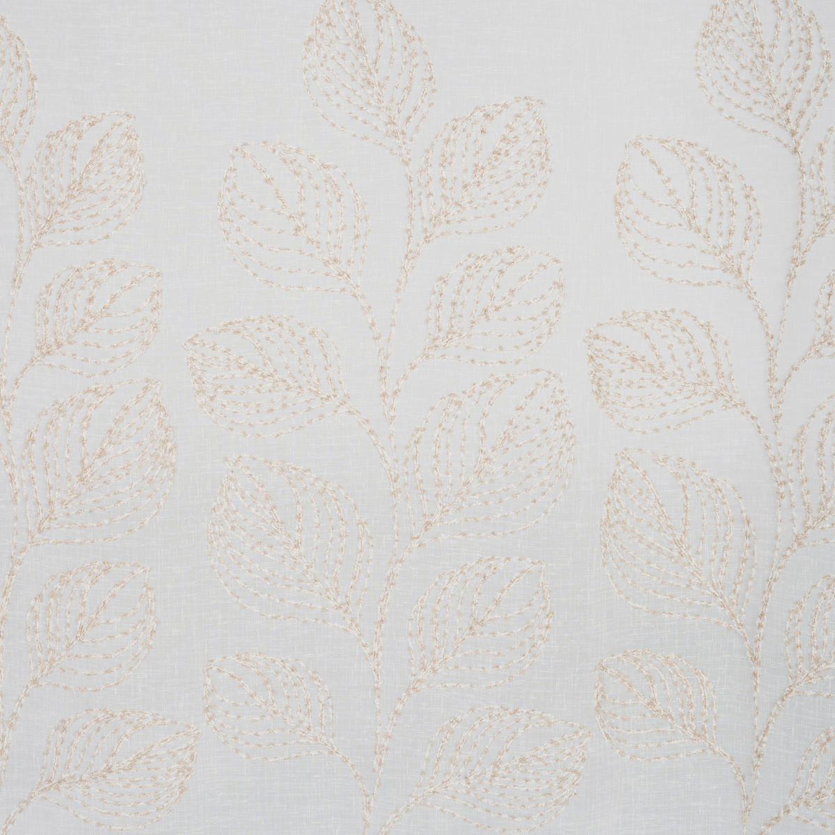 STORE per lfm  - Cappuccino, Design, Textil (280cm) - Esposa