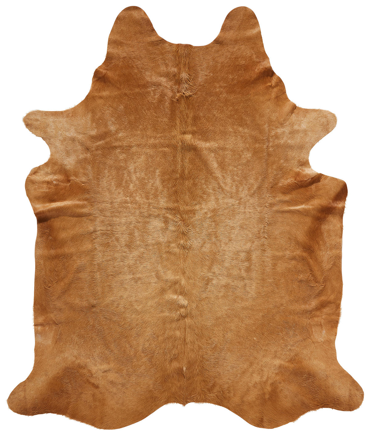 RINDERFELL 160/250 cm Naturfarben, Beige Tierform  - Beige/Naturfarben, Basics, Leder/Fell (160/250cm) - Linea Natura