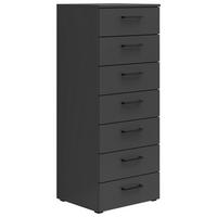 KOMÓD 45/115/40 cm  - grafitszürke/fekete, Modern, műanyag/faalapú anyag (45/115/40cm) - Carryhome