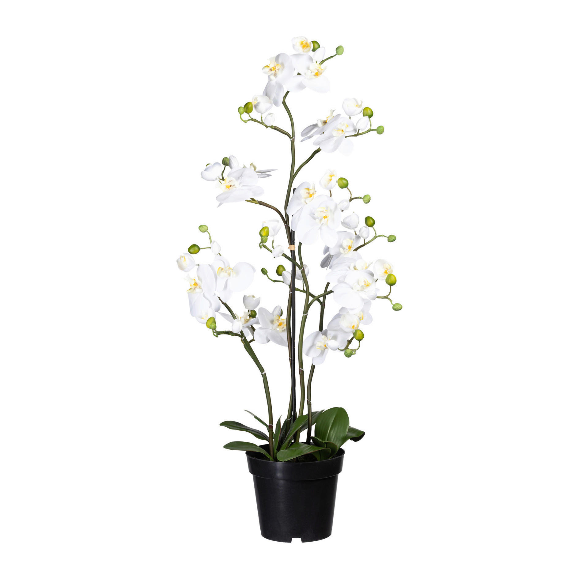 KUNSTPFLANZE Orchidee  - Schwarz/Weiß, Basics, Kunststoff (90cm)