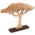 DEKOBAUM - Naturfarben, Natur, Holz (65/49/9cm) - Ambia Home