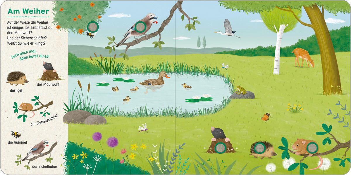 BUCH - Multicolor, Basics, Papier (19,5/19,5/1,6cm)