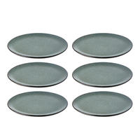 SPEISETELLERSET RAW 6-teilig  - Grün, Basics, Keramik (28cm) - Aida