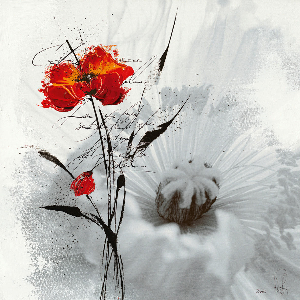 KUNSTDRUCK Blumen 30/30 cm  - Rot/Schwarz, Basics, Papier (30/30cm) - Monee