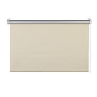 ROLLO  halbtransparent  75/160 cm    - Beige, Basics, Kunststoff (75/160cm)