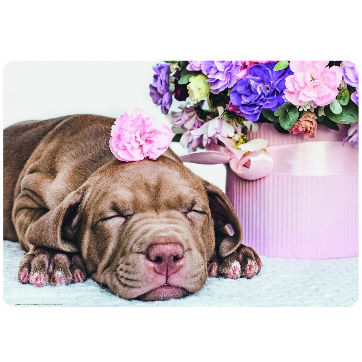 PODMETAČ   - višebojna, Osnovno, plastika (65/45cm)