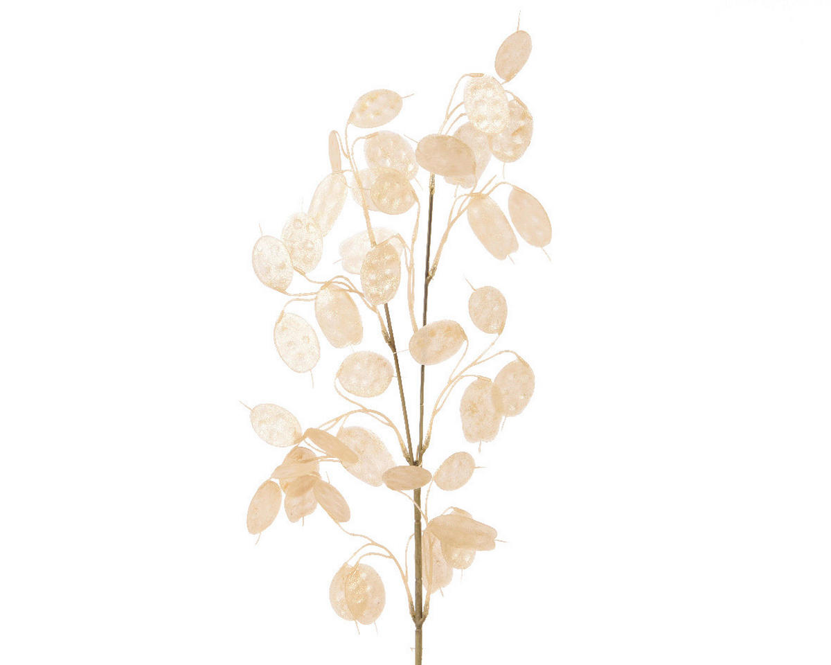 UKRASNA GRANČICA           76 cm   - Osnovno (76cm)