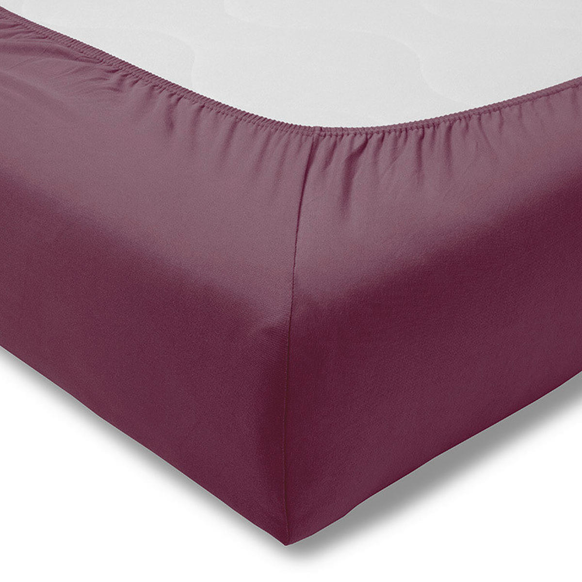 SPANNBETTTUCH Exquisit Single-Jersey  - Aubergine, Basics, Textil (100/200cm) - Estella