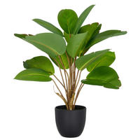 KUNSTPFLANZE Philodendron 45 cm  - Schwarz/Braun, Basics, Kunststoff (45cm) - P & B