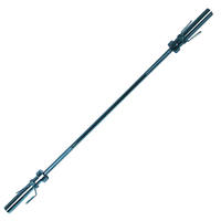 HANTELSTANGE  - Silberfarben, KONVENTIONELL, Metall (220/5/5cm)