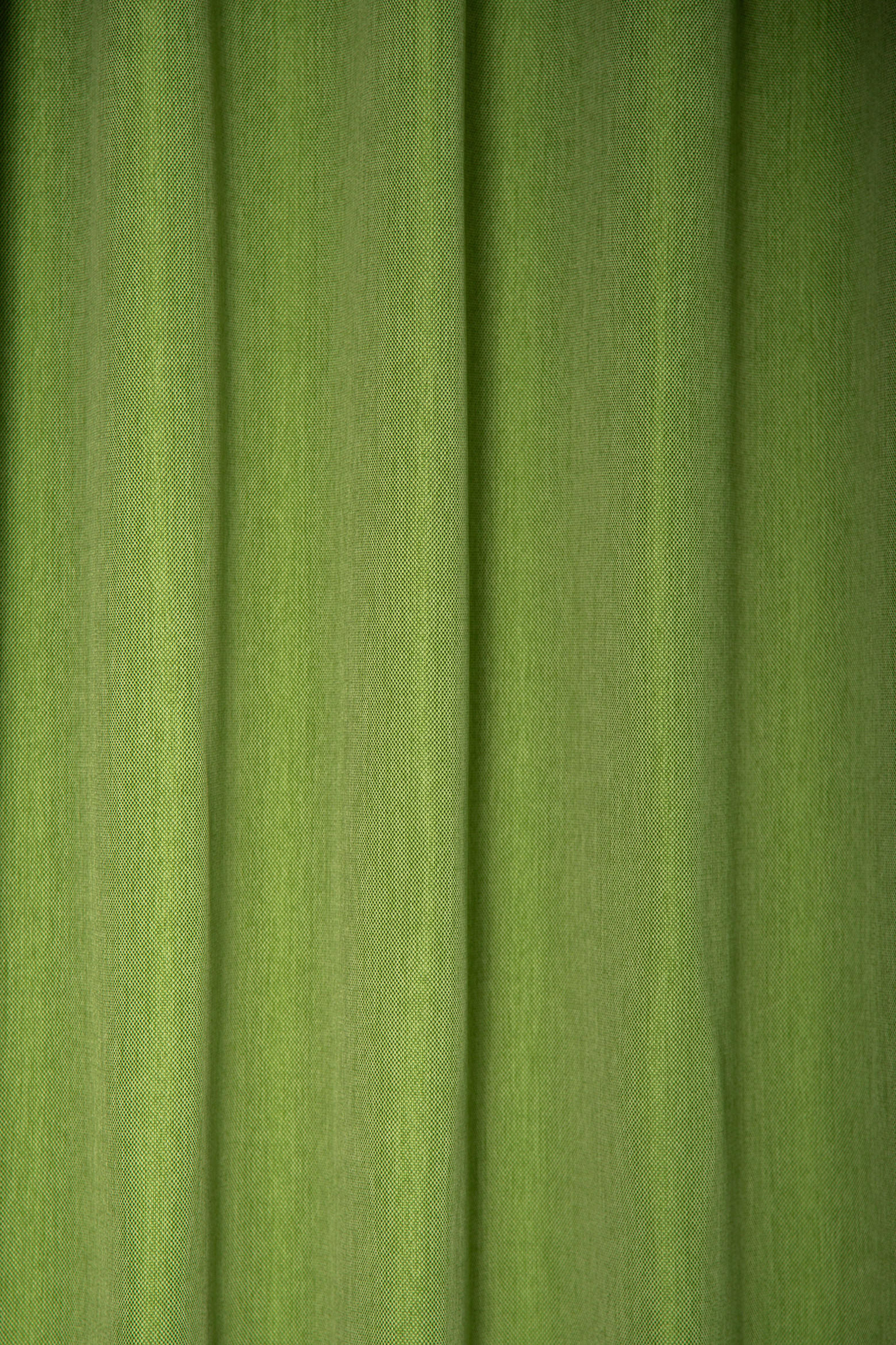 WÄRMESCHUTZVORHANG  Verdunkelung  140/245 cm   - Olivgrün, Basics, Textil (140/245cm)
