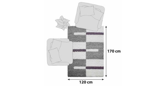 HOCHFLORTEPPICH 120/170 cm Gala 2505  - Lila, Design, Textil (120/170cm) - Novel