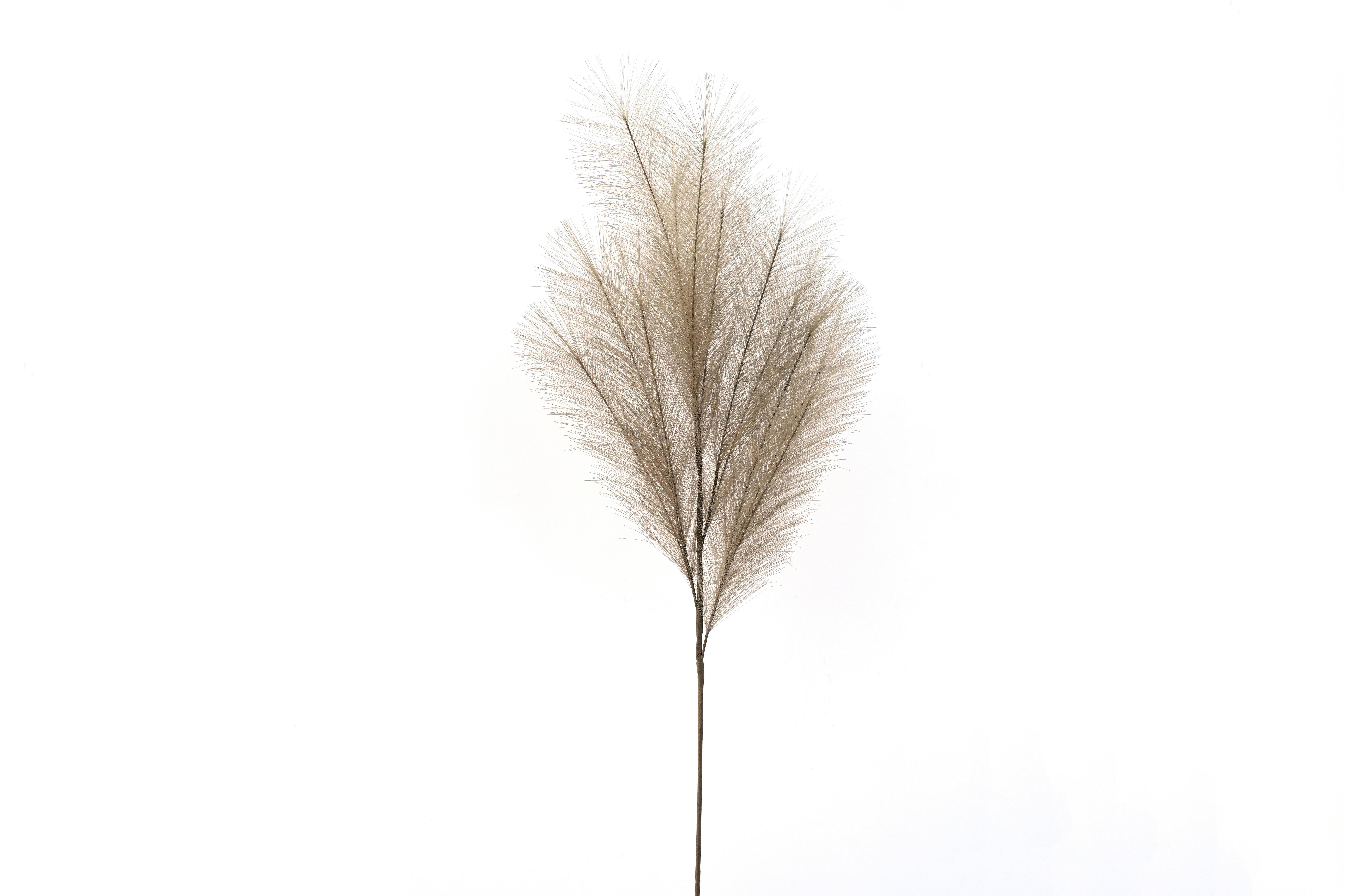 UMĚLÁ ROSTLINA pampová tráva 110 cm - hnědá