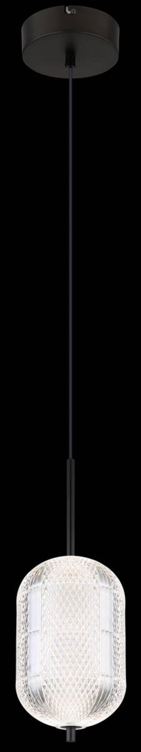LED SVJETILJKA VISEĆA  15/120 cm       - prozirno/crna, Konvencionalno, metal/plastika (15/120cm) - Globo