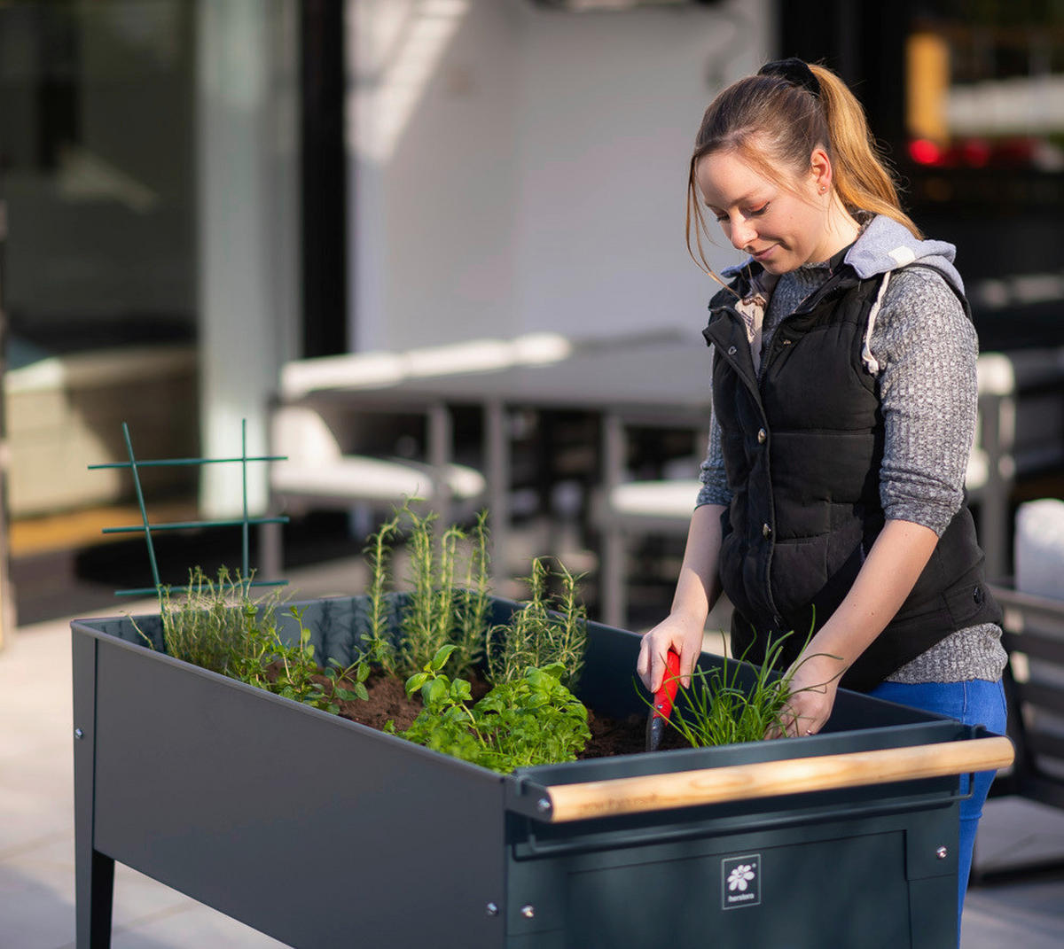 HOCHBEET  - Anthrazit, Basics, Metall (60/80/120cm) - Ambia Garden