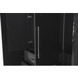 KLEIDERSCHRANK 196/219/59 cm 4-türig Anthrazit Hochglanz, Anthrazit - Anthrazit/Anthrazit Hochglanz, KONVENTIONELL, Holzwerkstoff/Metall (196/219/59cm) - Carryhome