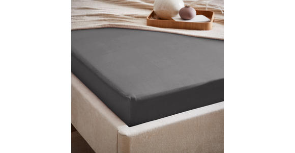 SPANNLEINTUCH 150/200 cm - Anthrazit, Basics, Textil (150/200cm) - Esposa