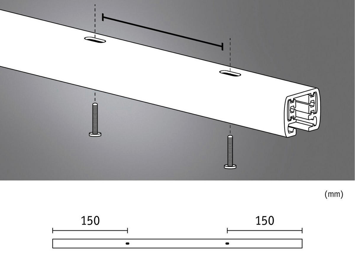 SCHIENENSYSTEM URail Schiene 0,5m 50 cm   - Basics (50cm) - Paulmann