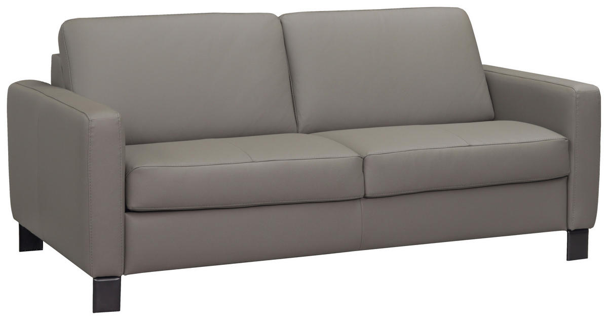 ROZKLÁDACÍ POHOVKA S MATRACÍ, kůže, jílová barva - černá/jílová barva, Konvenční, kov/kůže (190/87/100cm) - Celina Home