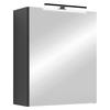 SPIEGELSCHRANK 50/60/20 cm  - Anthrazit, MODERN, Glas/Holzwerkstoff (50/60/20cm) - MID.YOU