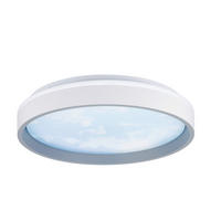 LED-DECKENLEUCHTE Solin 39/8 cm   - Weiß, LIFESTYLE, Kunststoff/Metall (39/8cm) - Novel