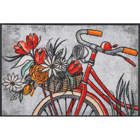 FUßMATTE  50/75 cm  Multicolor  - Multicolor, KONVENTIONELL, Kunststoff/Textil (50/75cm) - wash+dry