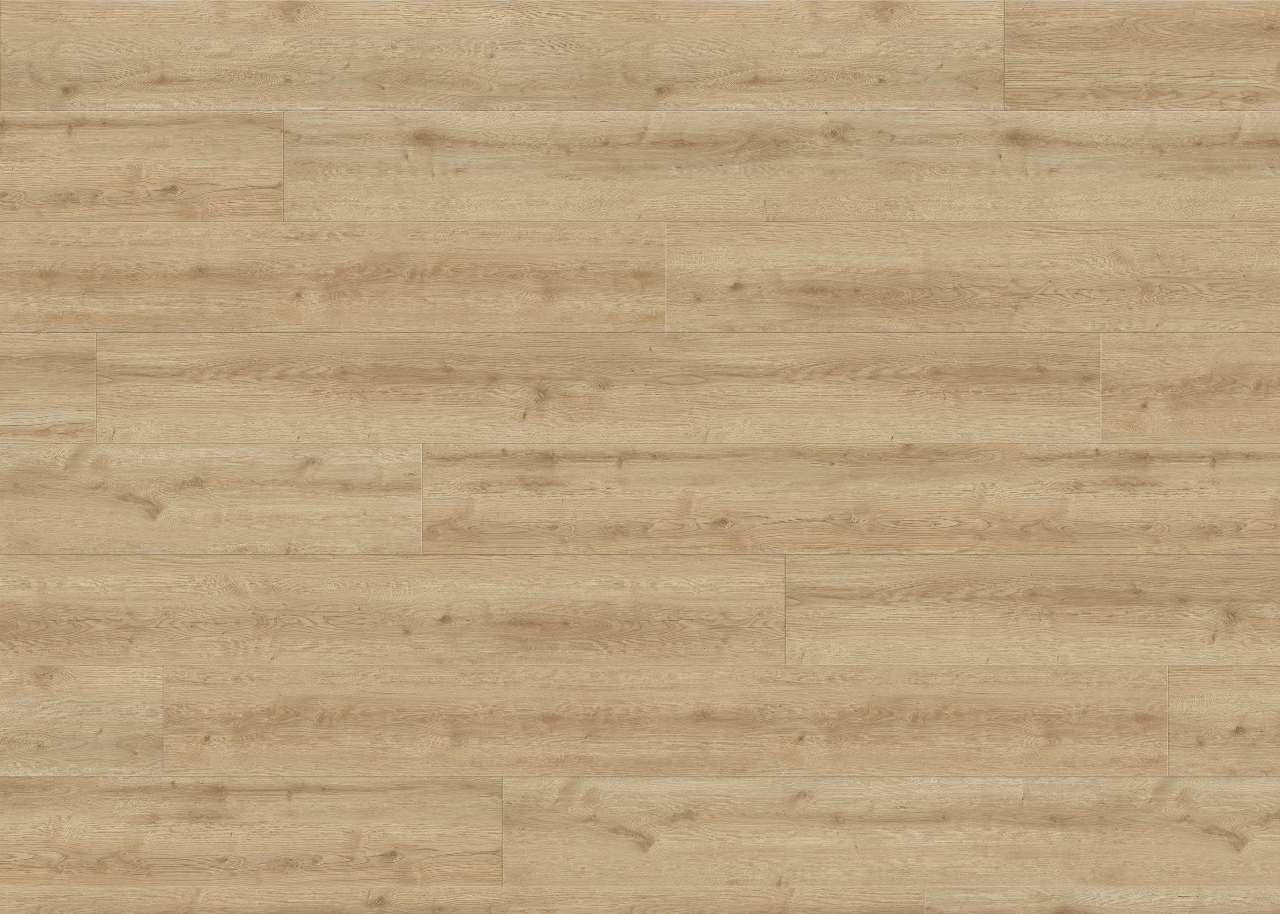 DESIGNBODEN Living by HARO Designboden PowerStar XL  per  m² - Hellbraun, Basics, Holzwerkstoff (24.3/220cm) - Living by HARO