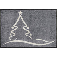 FUSSMATTE 50/75 cm Light Shine  - Grau, Design, Kunststoff/Textil (50/75cm) - wash+dry