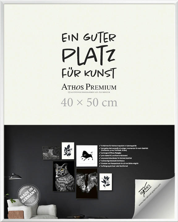 BILDERRAHMEN in Silberfarben  - Silberfarben, Basics, Glas/Holzwerkstoff (40/50/1,8cm)