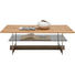 COUCHTISCH Wildkernbuche furniert rechteckig Buchefarben, Edelstahlfarben, Grau - Edelstahlfarben/Buchefarben, Design, Glas/Holz (125/40/75cm) - Dieter Knoll