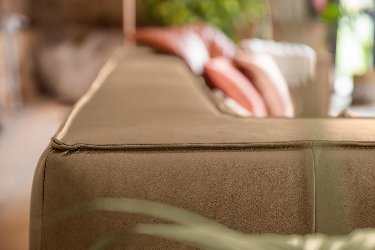 VIERSITZER-SOFA in Echtleder Fango  - Fango/Schwarz, Modern, Leder/Kunststoff (300/66/104cm) - W.Schillig