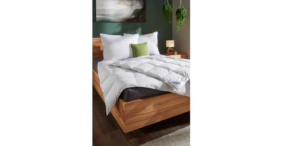 GANZJAHRESDECKE 140/200 cm - Weiß, Basics, Textil (140/200cm) - Sleeptex
