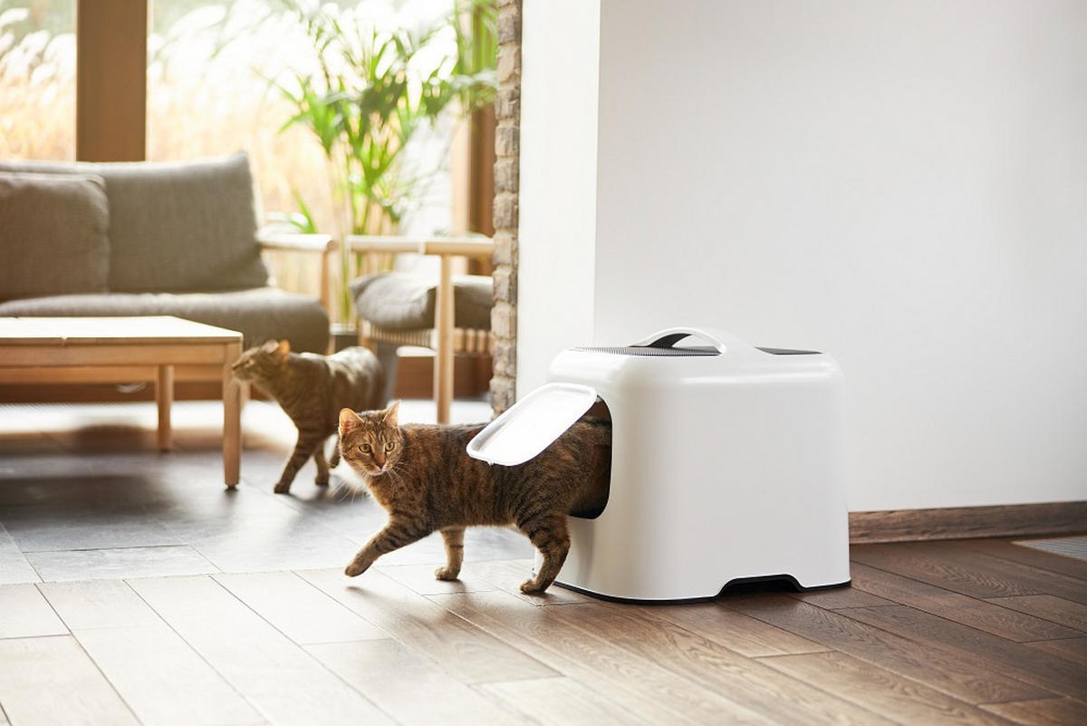 KATZENTOILETTE - Weiß, Basics, Kunststoff (51/39,5/44,3cm) - Rotho