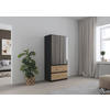 DREHTÜRENSCHRANK 91/197/54 cm 2-türig Grau, Eiche Artisan  - Eiche Artisan/Grau, MODERN, Holzwerkstoff (91/197/54cm) - Rauch Möbel