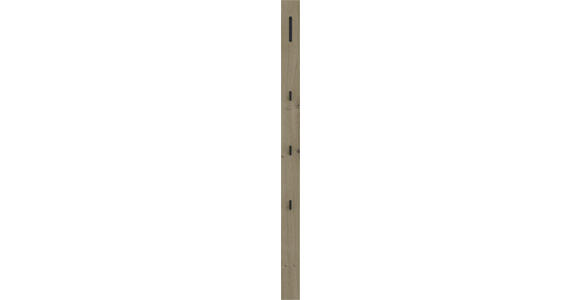 GARDEROBENPANEEL in 10/165/5 cm - Eichefarben/Schwarz, Design, Holzwerkstoff/Metall (10/165/5cm) - Dieter Knoll
