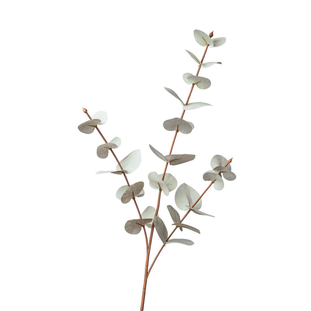 DEKORAČNÁ VETVIČKA eukalyptus 68 cm - biela