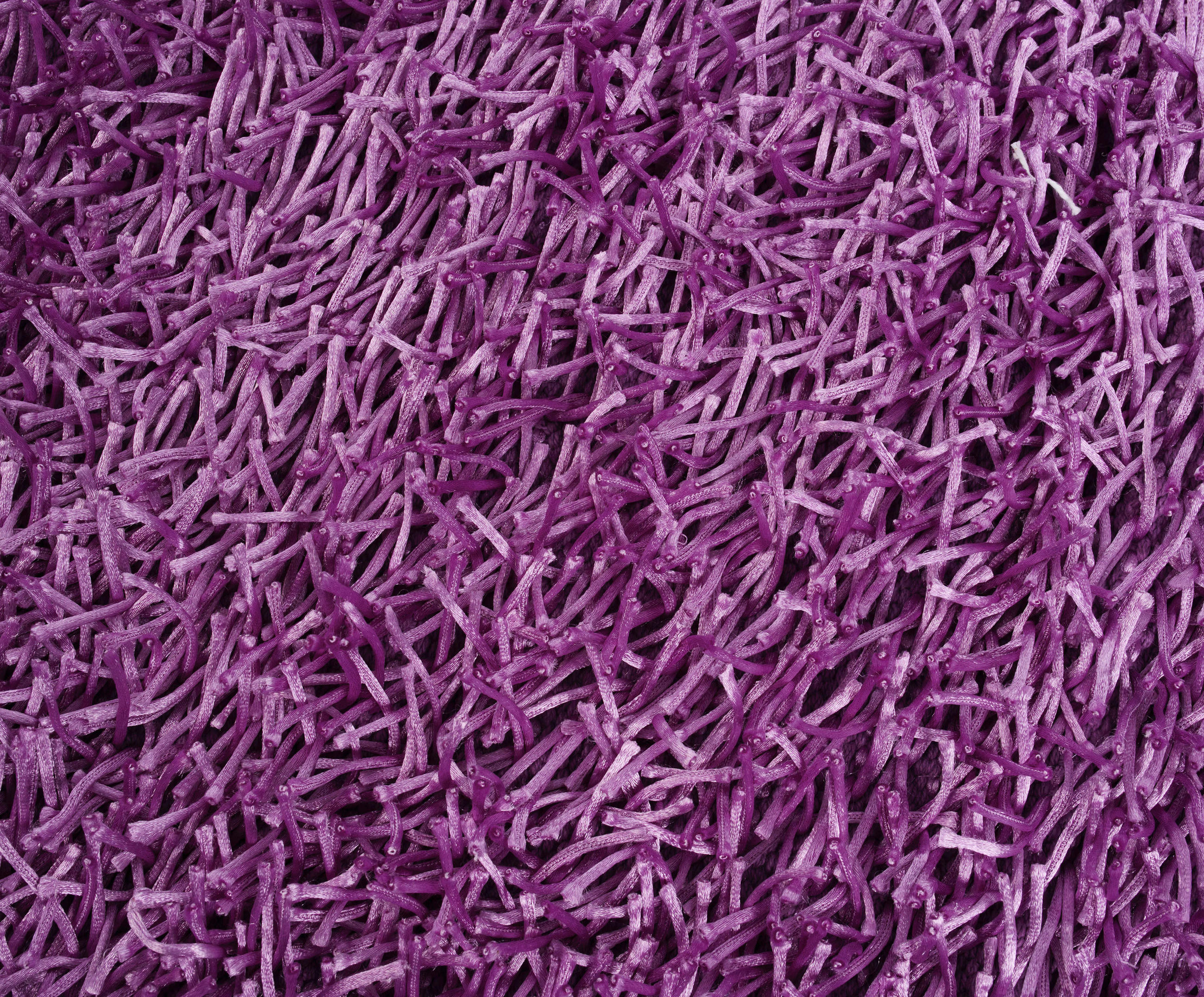 BADTEPPICH Shaggy 60/100 cm - Beere, Basics, Textil (60/100cm) - Esposa