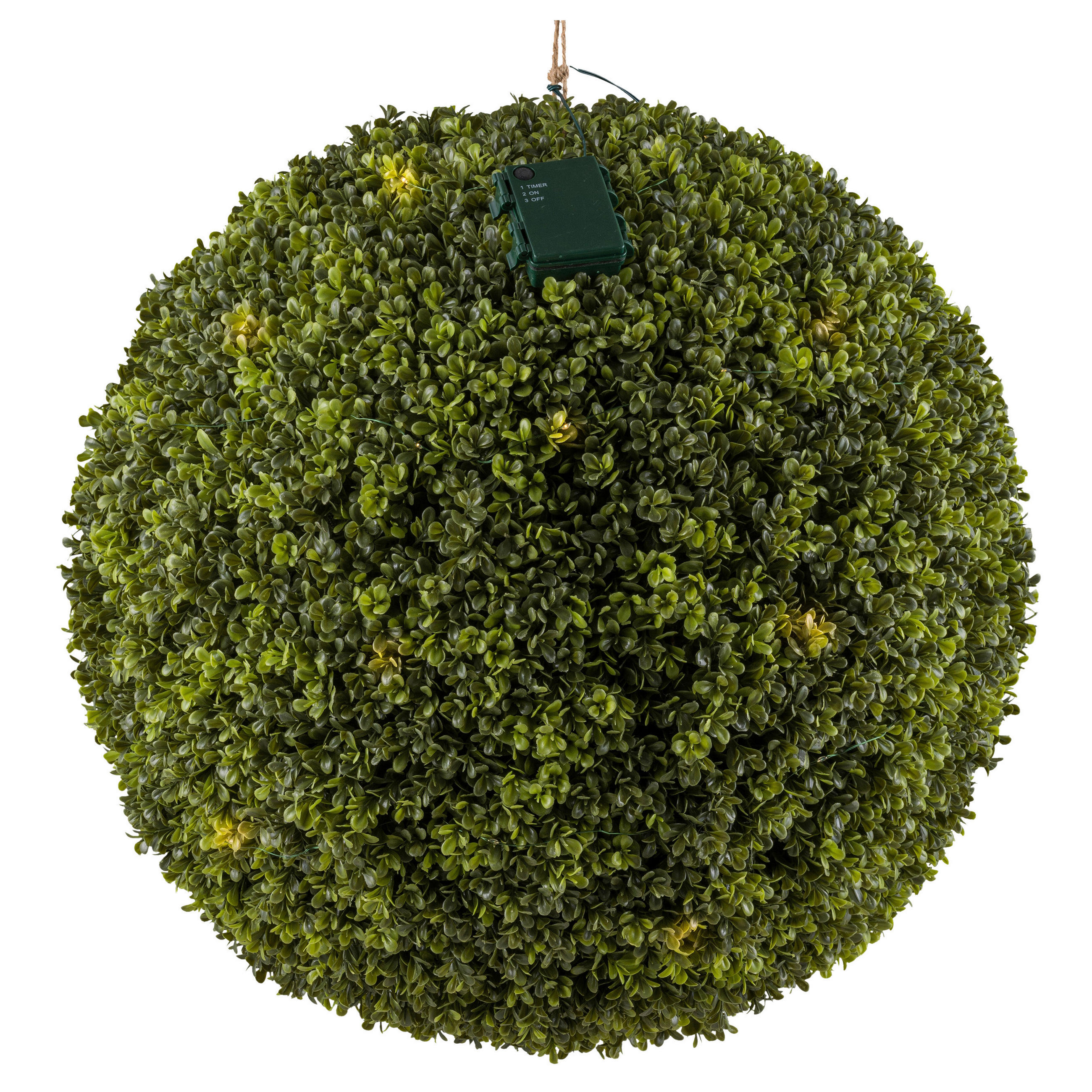 KUNSTPFLANZE Buchsbaum - Grün, Design, Kunststoff (55cm) - P & B