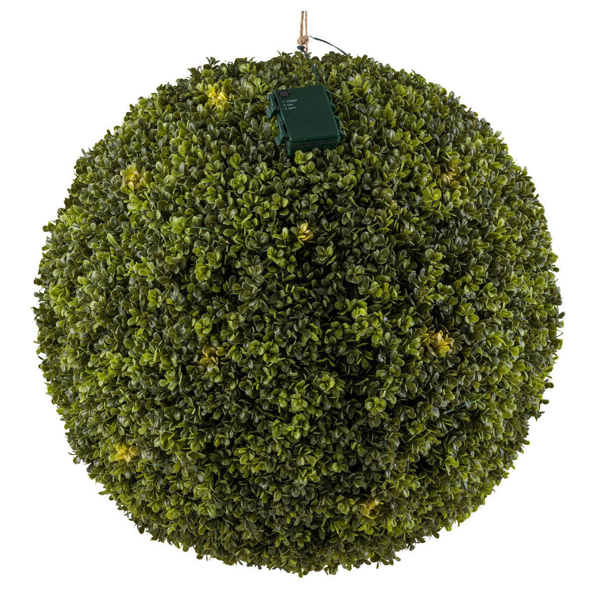 KUNSTPFLANZE Buchsbaum  - Grün, Design, Kunststoff (55cm) - P & B