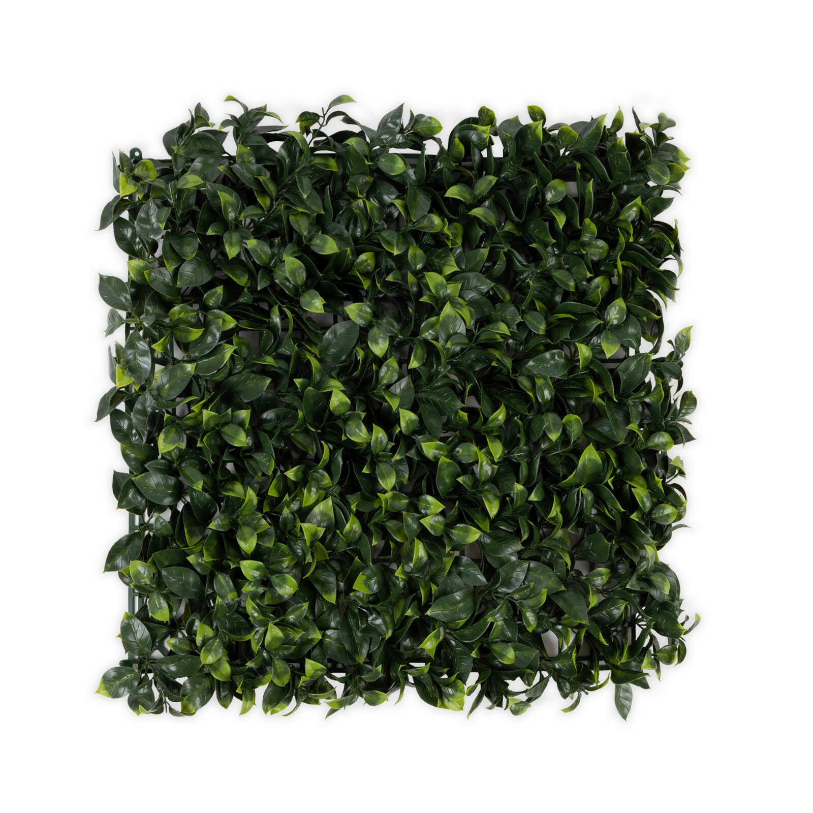 Wandverkleidung Pflanzenwand  Kunststoff  - Smaragdgrün, Trend, Kunststoff (50/50cm) - Floordirekt
